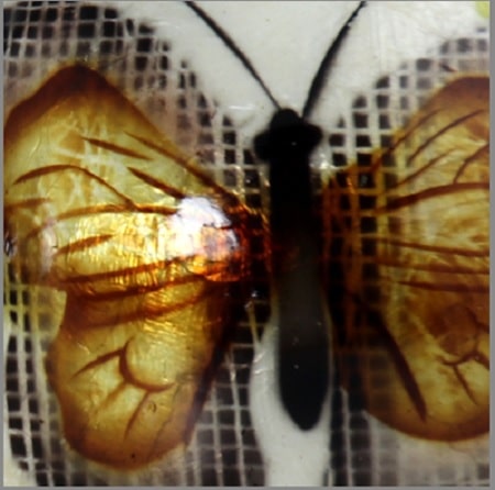 Set 3 bolas mariposas ( 10D cm)