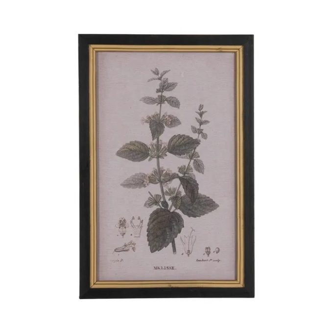 cuadro de ramas y flores de estilo botánico con marco negro y oro
