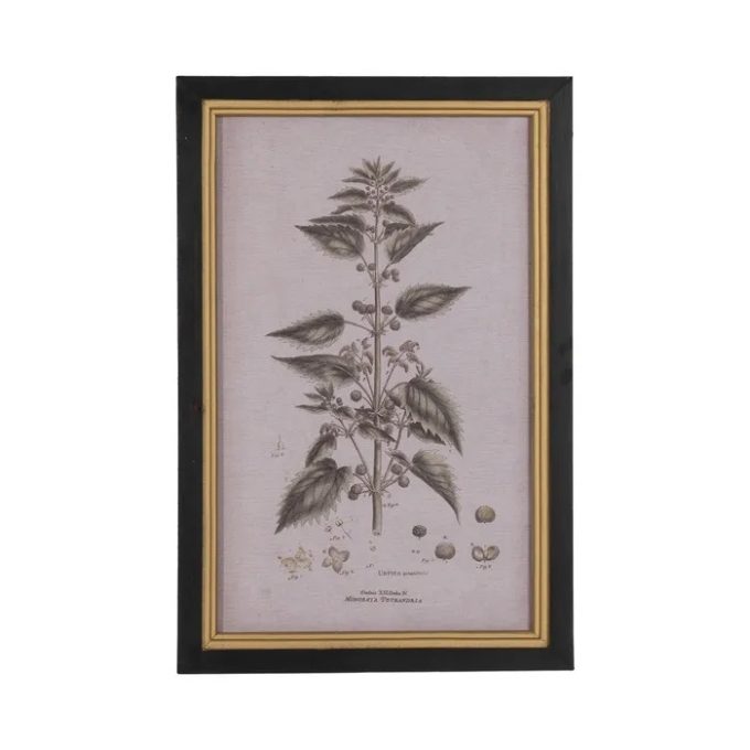 Cuadro Flores Botánico, Vintage (30x2x45 cm)