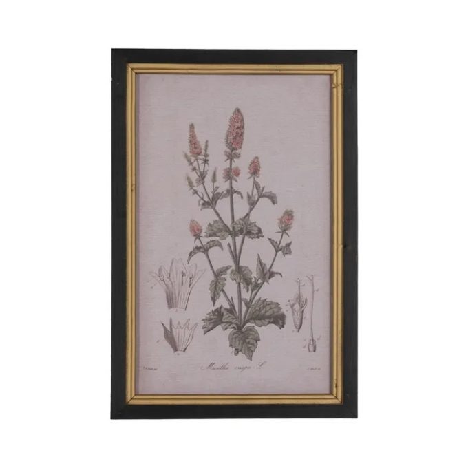 Cuadro Flores Botánico, Vintage (30x2x45 cm)