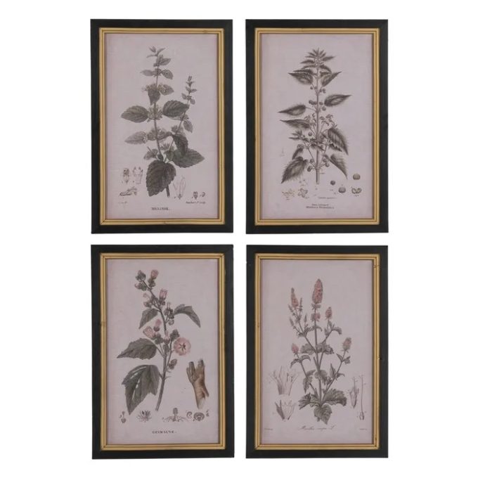 Cuadro Flores Botánico, Vintage (30x2x45 cm)