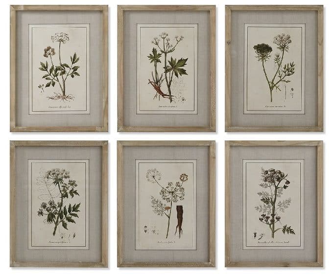 Cuadro Botánico Flores Multicolor, Vintage (30x2x40 cm)