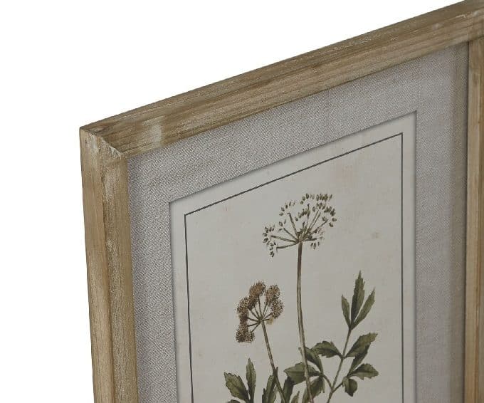 Cuadro Botánico Flores Multicolor, Vintage (30x2x40 cm)