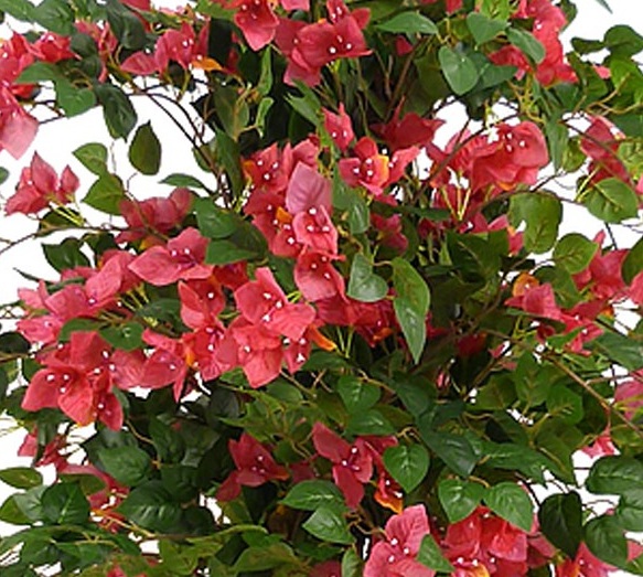 Planta Artificial Bugambilia Flores Coral (150 cm)