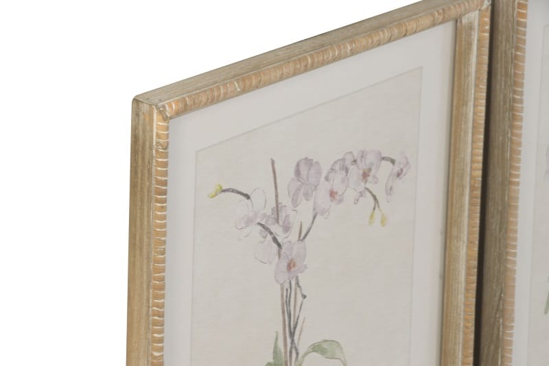 Set 4 Cuadros de Plantas de Orquídeas, Estilo Botánico (35x2,5x45 cm) - Imagen 2