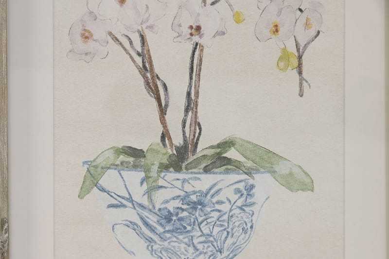 Set 4 Cuadros de Plantas de Orquídeas, Estilo Botánico (35x2,5x45 cm) - Imagen 3